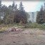 На площади Гагарина началась вырубка деревьев