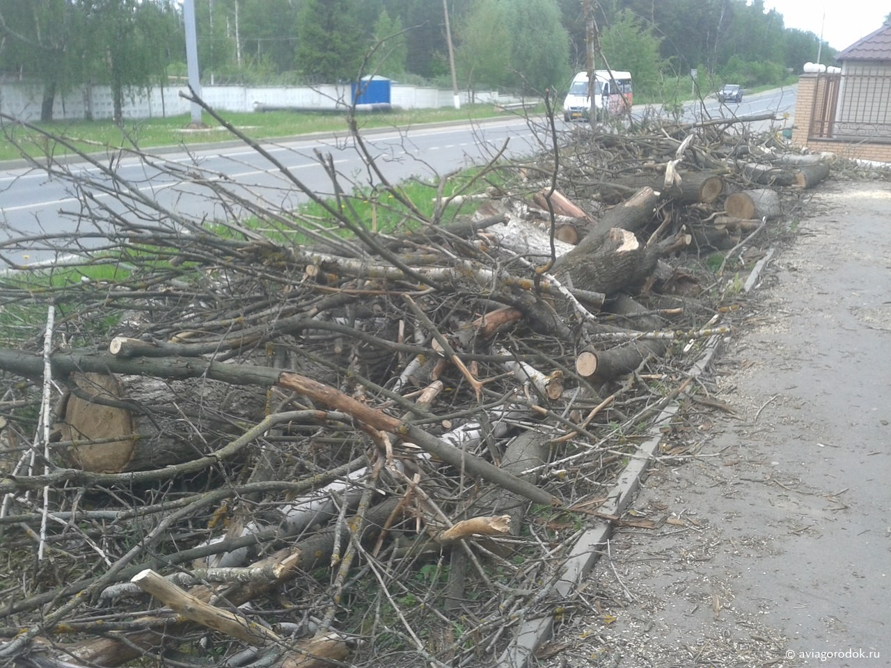 Не менее 45 деревьев вырублено на проспекте Туполева вблизи дома № 1/1