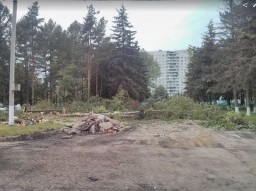 На площади Гагарина началась вырубка деревьев
