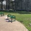 Вот так наши жители проводят выходные. Хрю-хрю!