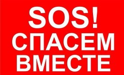 SOS! Невменяемая администрация собралась срубить ещё 61 дерево на площади Гагарина