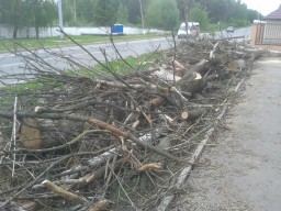 Не менее 45 деревьев вырублено на проспекте Туполева вблизи дома № 1/1 Не менее 45 деревьев вырублено на проспекте Туполева вблизи дома № 1/1