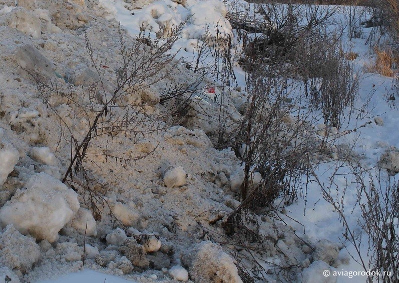Огородники с берегов Гнилуши ответят за неисполнение предписания Минэкологии