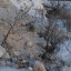 Огородники с берегов Гнилуши ответят за неисполнение предписания Минэкологии